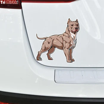 Tri Mishki WCS334 14x14cm Amerikai Pit Bull Terrier kutya, autó matricák auto autó matricák accessiories matrica