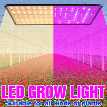 Nő LED Fény, Led Teljes Spektrumú Lámpa 1500W 2000W Led Növény Izzó Üvegházak Beltéri Növény Lámpa Nő Sátor MINKET EU, UK, AU Csatlakozó